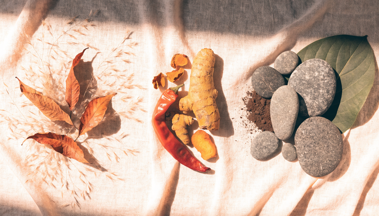 Three botanical groupings representing the vata, pitta and kapha doshas: seed pods for air, warm spices for fire, and stones for earth