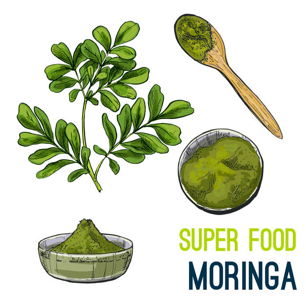 Moringa: Enjoy Unlimited Health Benefits With Moringa Extracts