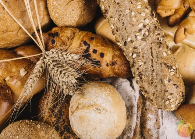 Probiotics And Fiber: How It Helps You and Your Gut