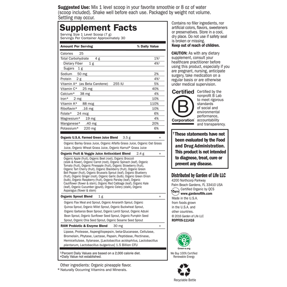 Raw Organic Perfect Food® Green Superfood Juiced Greens Powder, 7.30 Oz (207 g) Powder