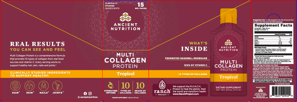 Ancient Nutrition Multi Collagen Protein Gel Packs, Tropical - back