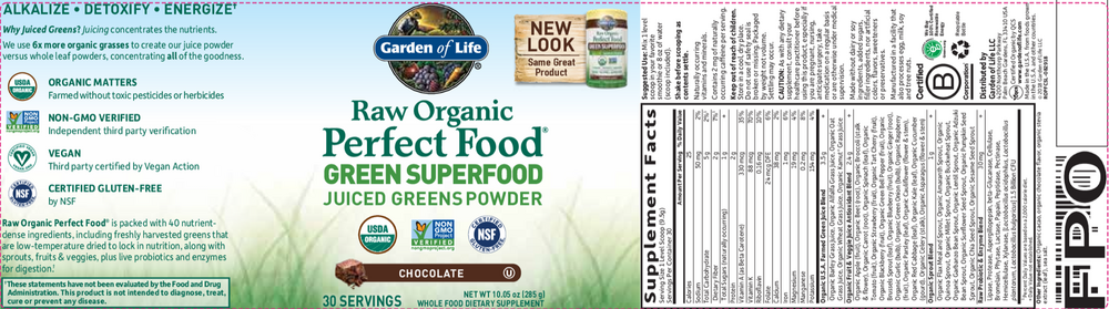Raw Organic Perfect Food Green Superfood, 300 g Powder