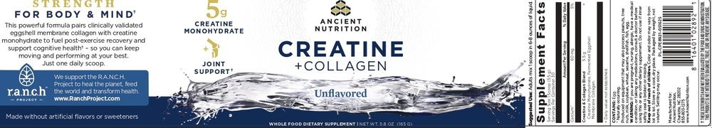 Ancient Nutrition Creatine + Collagen - Unflavored - back