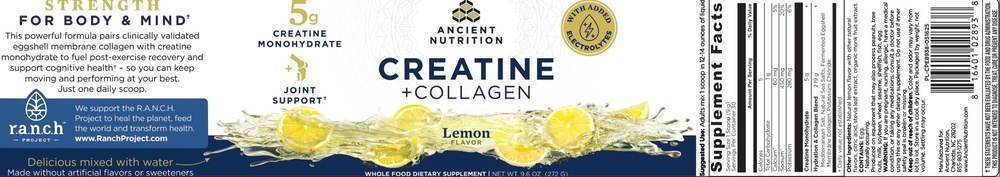 Ancient Nutrition Creatine + Collagen + Electrolytes, Lemon - back