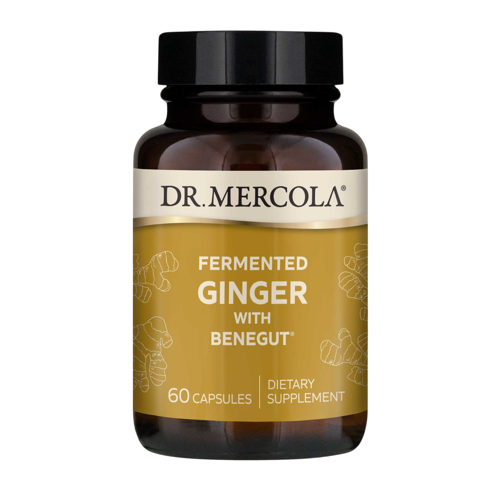 Fermented Ginger, 60 Capsules