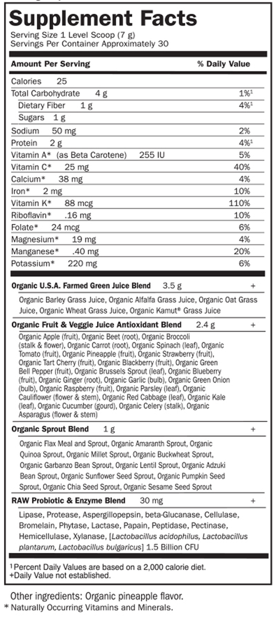 Raw Organic Perfect Food® Green Superfood Juiced Greens Powder, 7.30 Oz (207 g) Powder