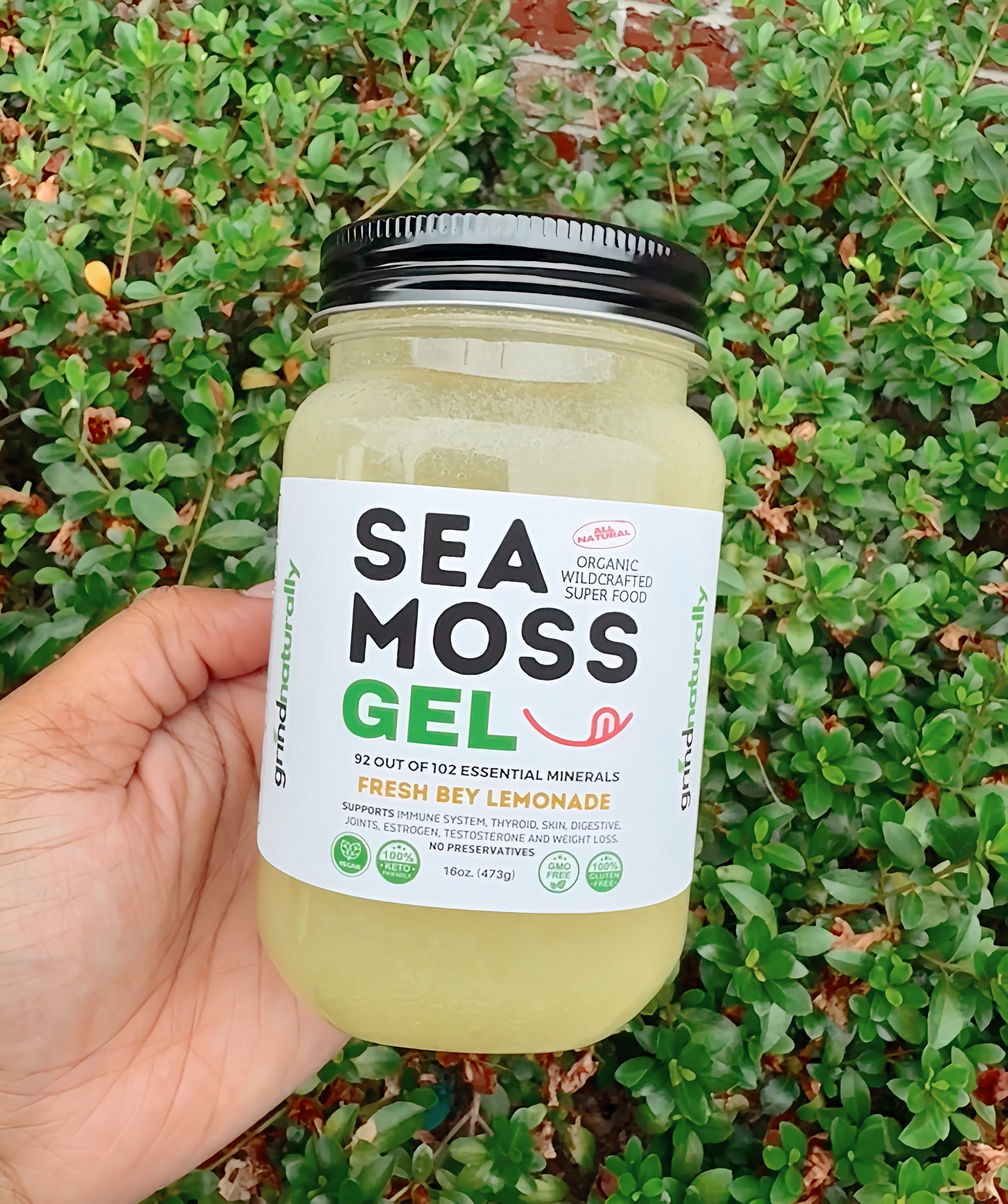 Flavored Sea Moss Gel - Dr. Sebi Inspired 100% Raw Organic - Wild Harvested Sea Moss , Grind Naturally Organics Shopify Collective