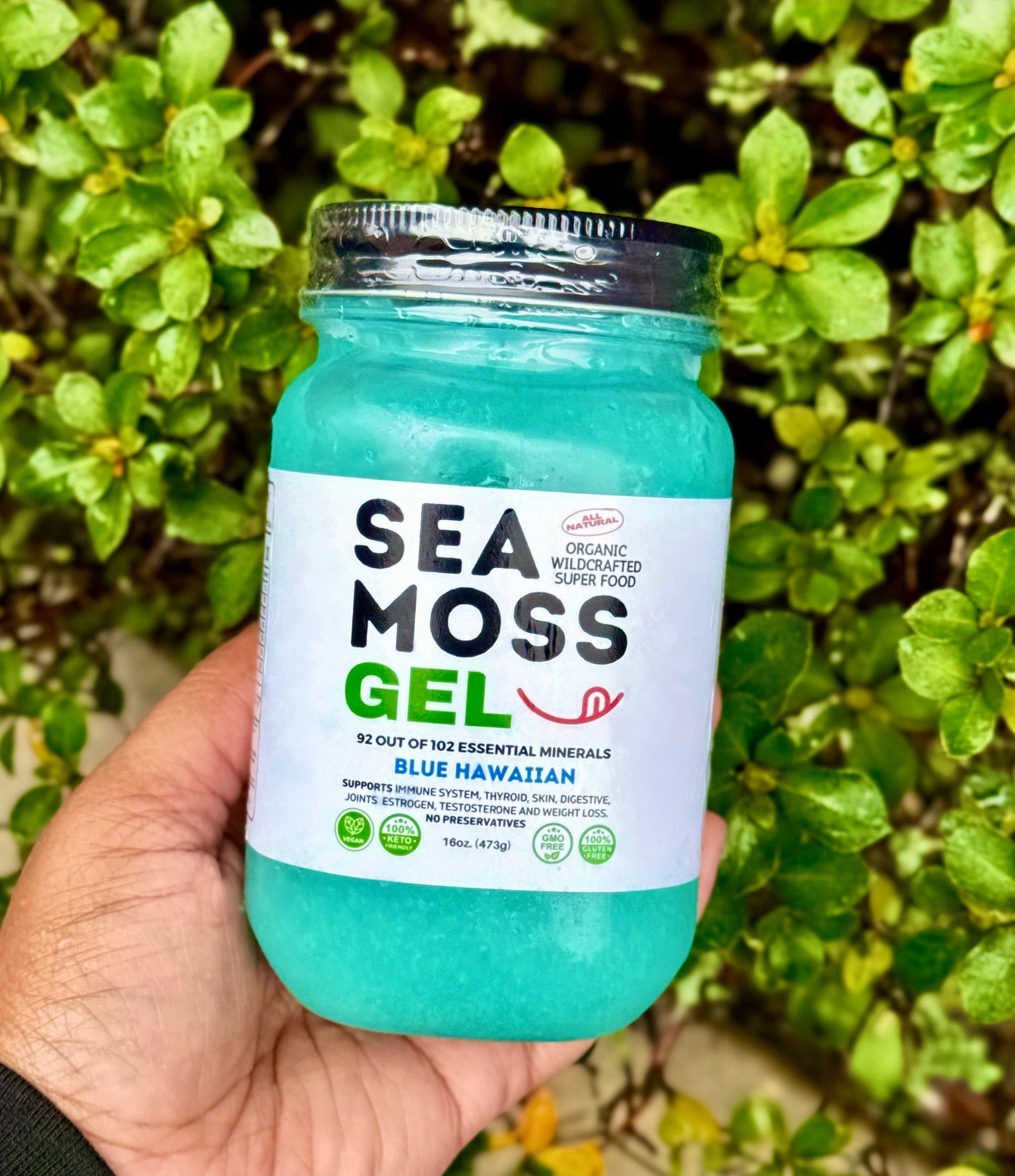 Flavored Sea Moss Gel - Dr. Sebi Inspired 100% Raw Organic - Wild Harvested Sea Moss , Grind Naturally Organics Shopify Collective