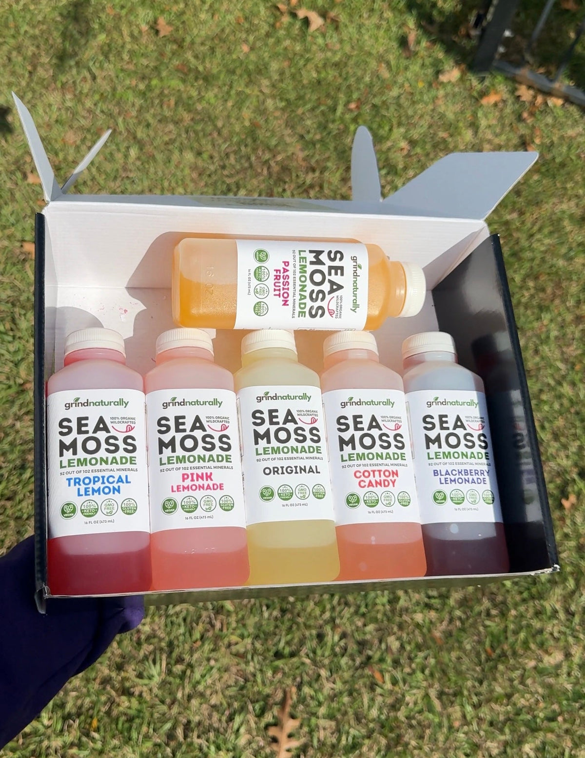 #1 Flavored Sea Moss Lemonade (16oz) , Grind Naturally Organics Shopify Collective