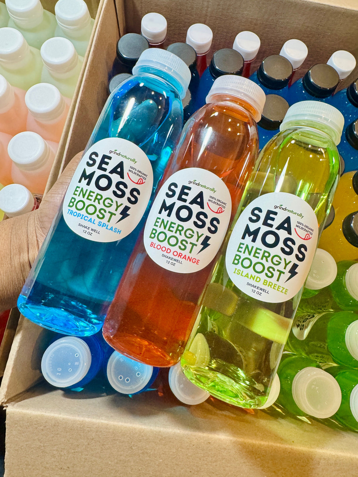 Sea Moss Energy Drink - 12oz , Grind Naturally Organics Shopify Collective