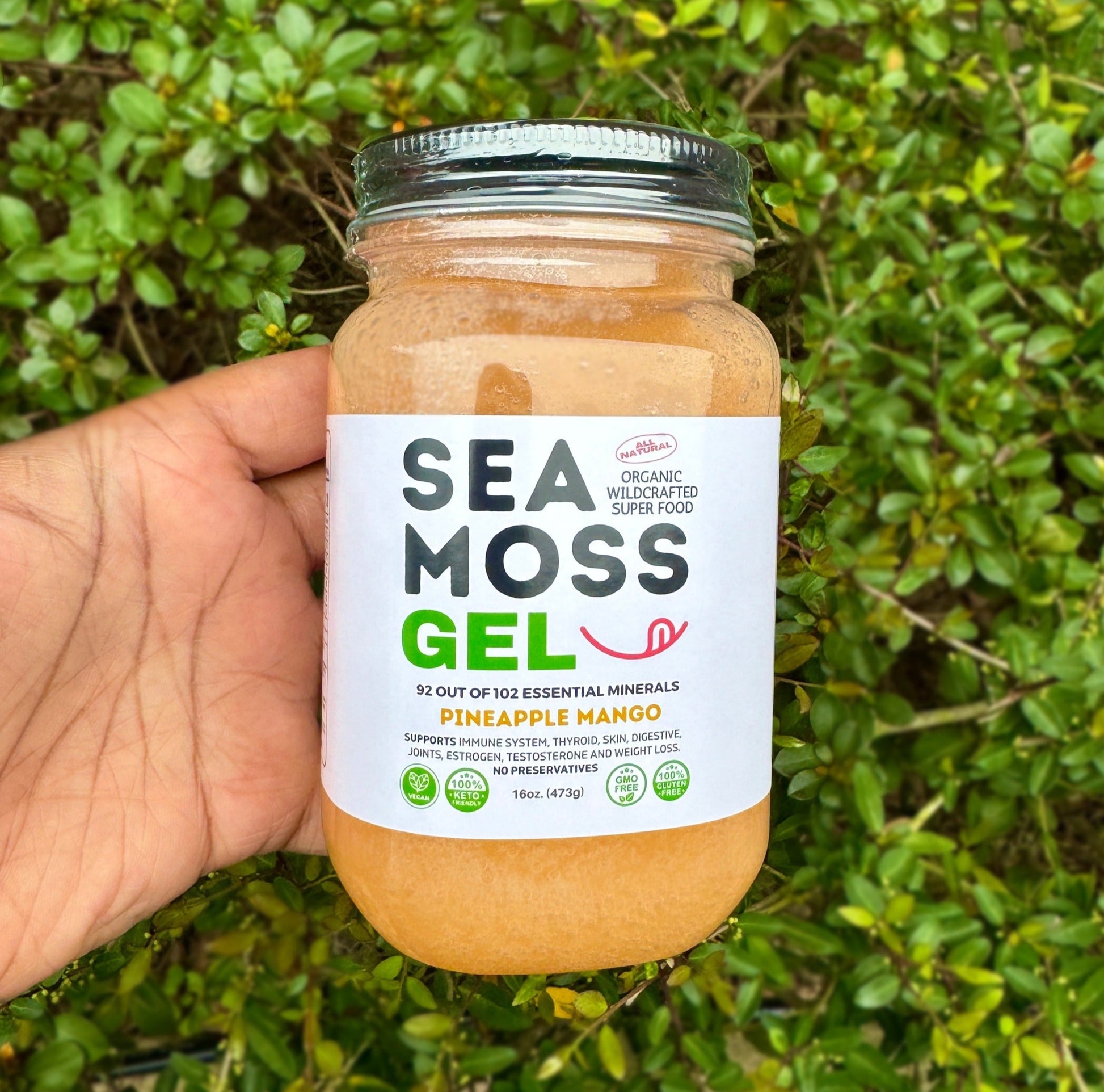 Flavored Sea Moss Gel - Dr. Sebi Inspired 100% Raw Organic - Wild Harvested Sea Moss , Grind Naturally Organics Shopify Collective