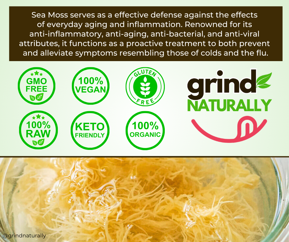 Flavored Sea Moss Gel - Dr. Sebi Inspired 100% Raw Organic - Wild Harvested Sea Moss , Grind Naturally Organics Shopify Collective