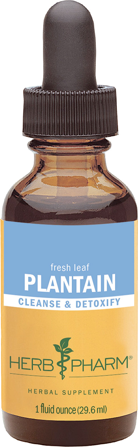 Fresh Leaf Plantain, 1 Fl Oz (29.6 mL) Liquid , Brand_Herb Pharm Form_Liquid Size_1 Fl Oz